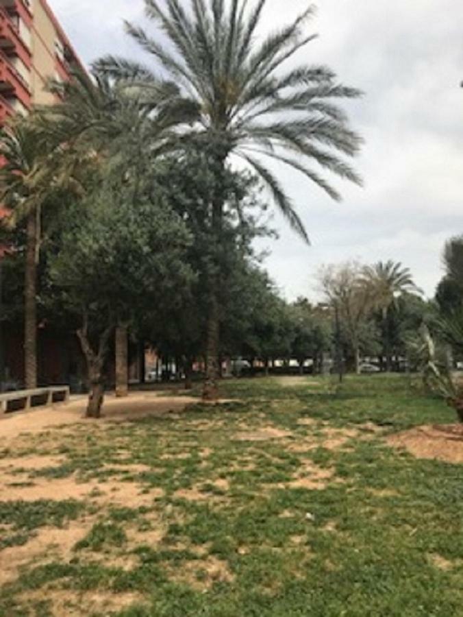 Doctor Oloriz,31,9 Lejlighed Valencia Eksteriør billede